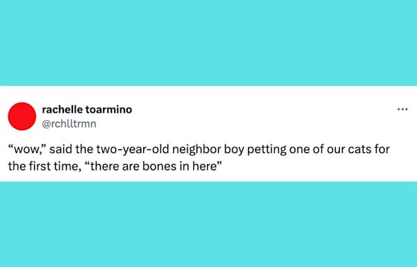 22 Of The Funniest Tweets About Cats And Dogs This Week (June 22-28)