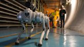 A four-legged ‘Robodog’ is patrolling the Large Hadron Collider