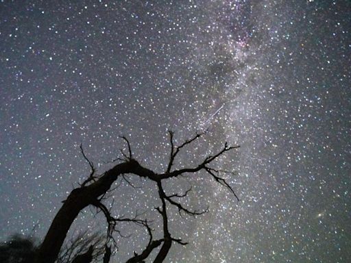 How to Witness the Perseids Meteor Shower's Dazzling Peak Tonight