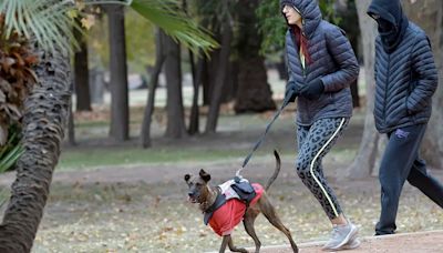 Madrugada bajo cero y heladas generales: así estará el tiempo para este sábado en Mendoza | Sociedad