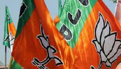 Lies spread by ‘baap, beta’ won’t mislead Haryana voters: BJP