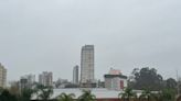 Frio e chuva marcam o domingo no RS; mínimas chegam a 1ºC | GZH