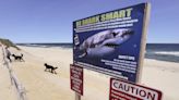 New signs warning of great white sharks in the works for some East Coast beaches