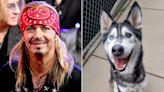 Bret Michaels Adopts a Dog Named for Him After It Gives Life-Saving Blood Donation to a Kitten (Exclusive)