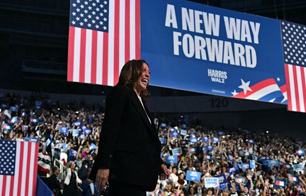 Kamala Harris dealt polling blow in key swing state in post-debate poll