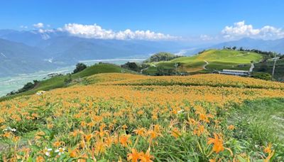 藍天•花海•耶穌光—人間天堂六十石山 | 蕃新聞