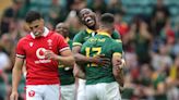 Wales find their leader but can't overcome biggest problem against South Africa