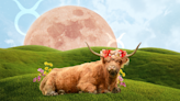 Venus in Taurus 2024 Will Affect Every Zodiac Sign