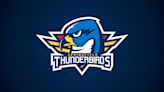 Blues assign 3 players to Springfield Thunderbirds | St. Louis Blues