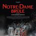 Notre-Dame in Flammen