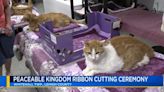 Peaceable Kingdom Animal Shelter shows off upgrades