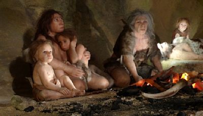 Fossil of 6-year-old Neanderthal child with Down syndrome discovered in Spain