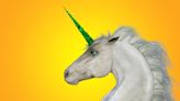 What is a unicorn company and what it takes to be in the club