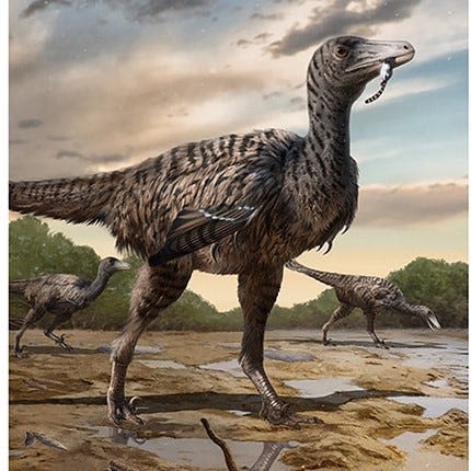 Megaraptor discovered in China may have rivaled velociraptors of 'Jurassic Park:' Study