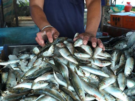 Prices of fish and veggies soar in Kerala, consumers grumble