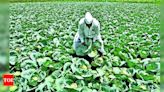 District Administration Announces 34,800 Crore Annual Credit Plan for Nashik with Focus on Marginal Farmers | Nashik News - Times of India