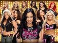 wwe Diven - wwe divas wallpaper - 1024x768 - WallpaperTip