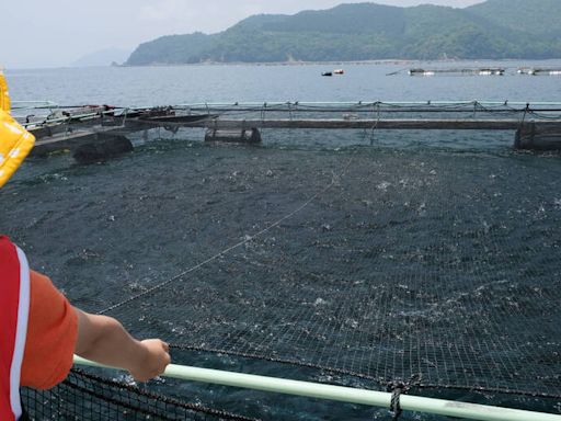 健康網》吃海鮮很棒 漁業署提醒養殖業者注意寄生蟲和細菌 - 自由健康網