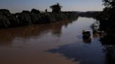 "Bilhões de organismos perderam a vida": teorias apontam para efeitos da enchente na biodiversidade e na pesca nos rios do RS | GZH