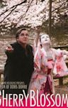Cherry Blossoms (film)