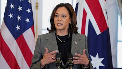 Indian-American Fundraiser Urges Kamala Harris To Visit Chennai If Elected As US President - News18