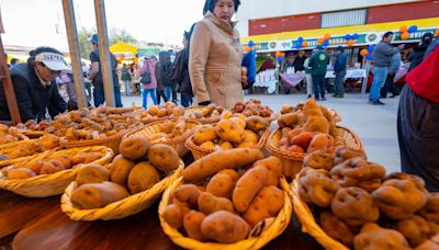 Los peruanos celebran el primer "Día de la papa" homenajeando a su principal alimento