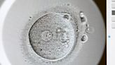 ‘Are frozen embryos alive?’ The Mobile case that led to an Alabama Supreme Court decision