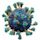 Coronavirus spike protein