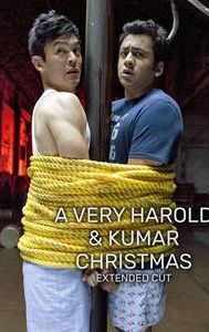 A Very Harold & Kumar Christmas