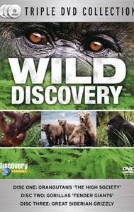 Wild Discovery