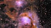 Giant stellar nursery revealed in new images from ESA's space telescope