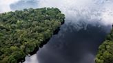 剛果泥炭地：面臨威脅的「人類之肺」