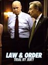 Law & Order - Il verdetto