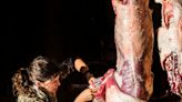 How to Skin a Deer, Step by Step