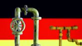 German industry curbed gas demand by a fifth in crisis - study