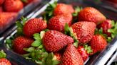 Report Uncovers High Pesticide Levels in Imported Fresh and Frozen Strawberries - Dunwoody Crier