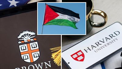 Harvard, Brown, IUP took $10M from foundations, donors in the ‘State of Palestine’: report