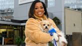 Alison Hammond breaks silence on For The Love Of Dogs backlash as ratings 'drop'