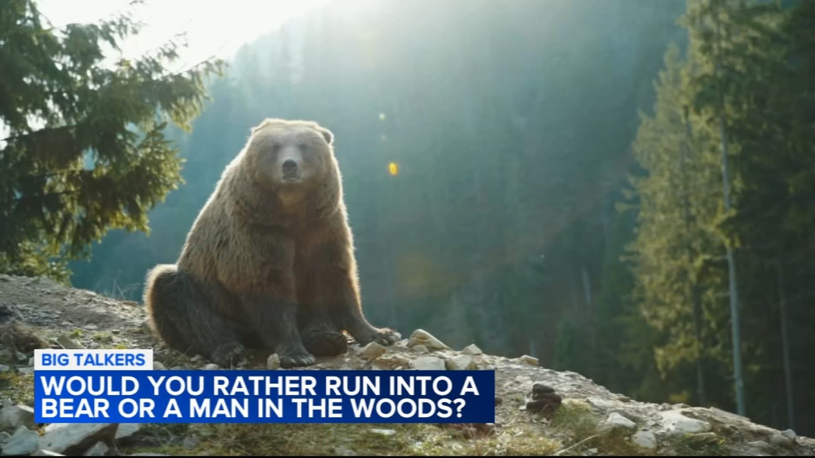 Bear vs man debate: Women respond after being asked which they would rather run into in the woods