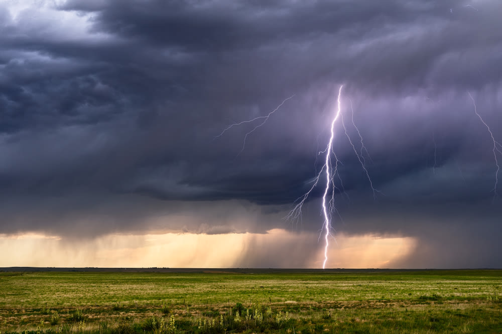 Colorado rancher, 34 head of cattle killed in lightning strike