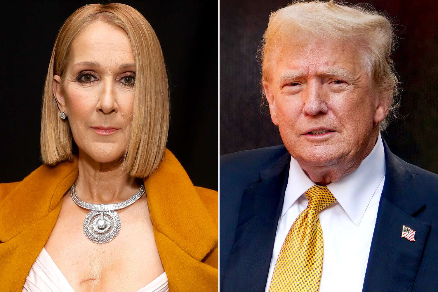 Celine Dion calls out Donald Trump for playing 'My Heart Will Go On' at campaign rally