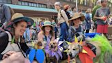 Get ready for this year’s Olympia Pet Parade June 22. Here are the details