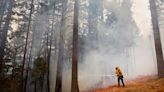 Park Fire in Northern California Grows to 350,000 Acres