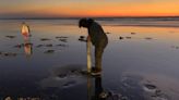 Razor clamming reopens on central and northern Oregon Coast; mussels still prohibited