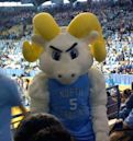 Rameses (mascot)