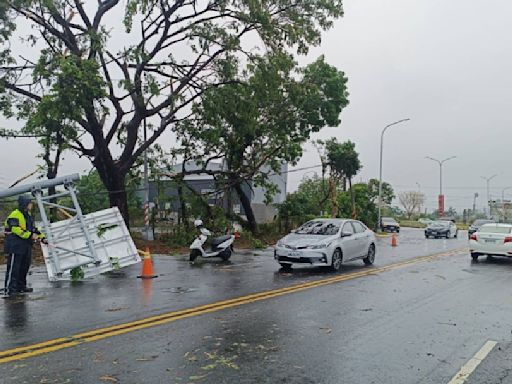高雄一早狂風暴雨「像颱風天」 路樹、標誌桿都被吹倒