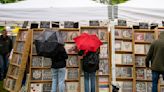 87 booths show arts, crafts at Washington State Apple Blossom Festival