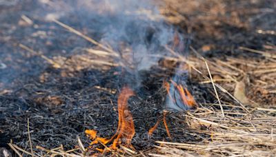 Declarada la alerta de riesgo de incendios jueves y viernes en Castilla y León