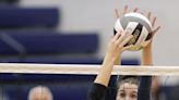 Hudson, Twinsburg, Brunswick, Medina soccer, Norton, Hoban volleyball reach district final