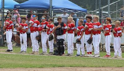 Youth baseball: Bay County goes 4-0 in Little League, Pony, Colt contests